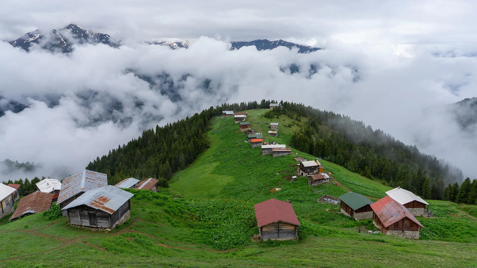 Karadeniz